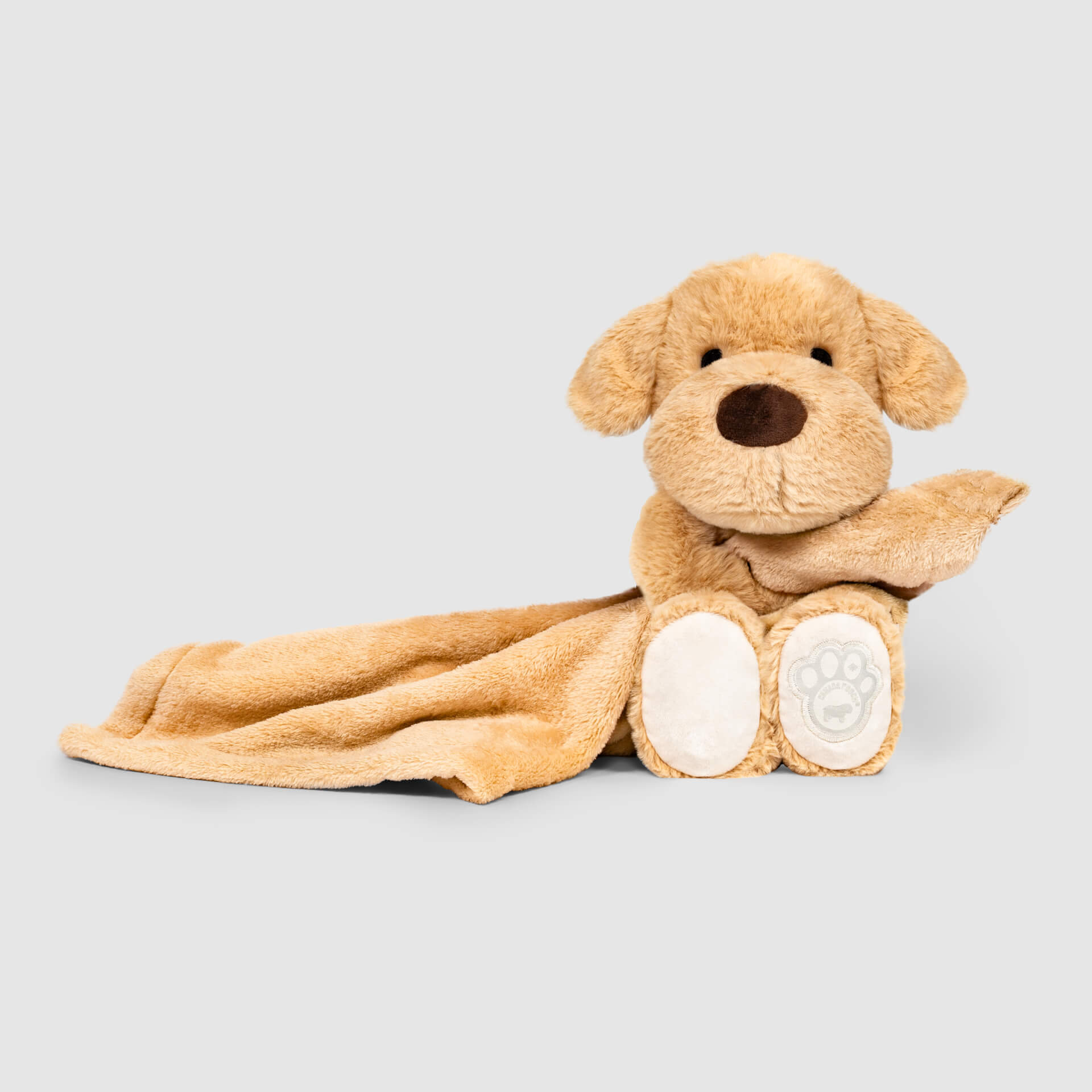 Weighted Calming Toy B4