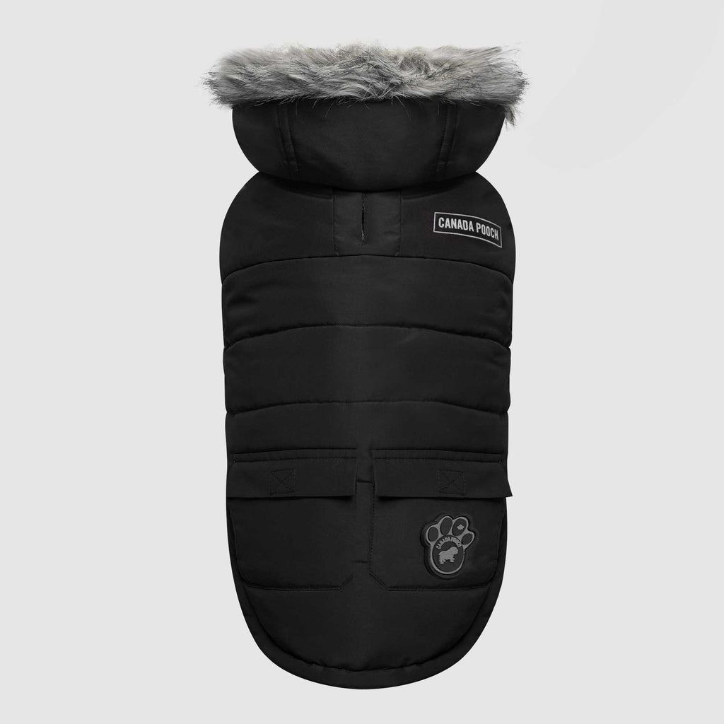 True North Parka X0